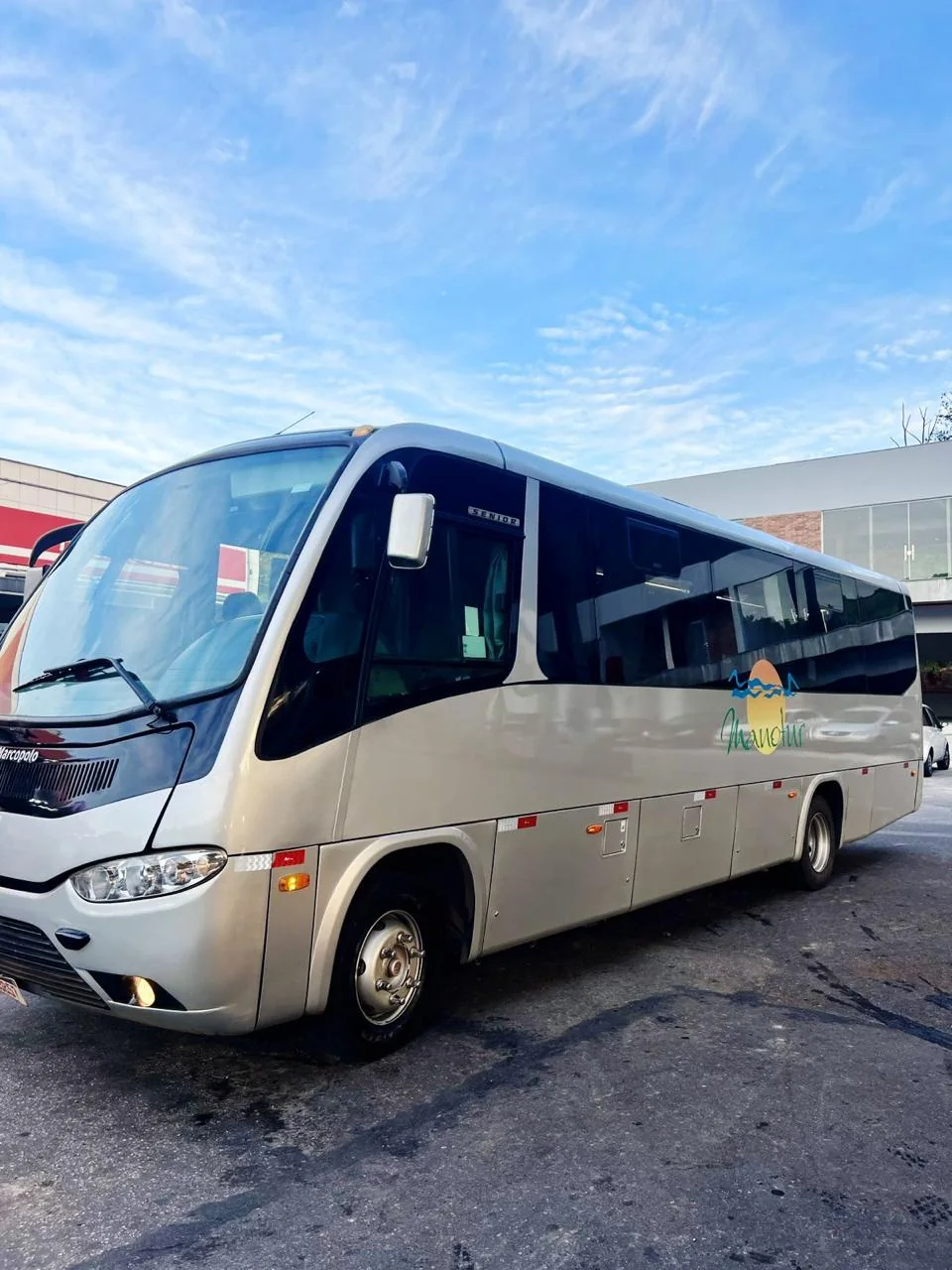 Micro-ônibus executivo prata da Manotur